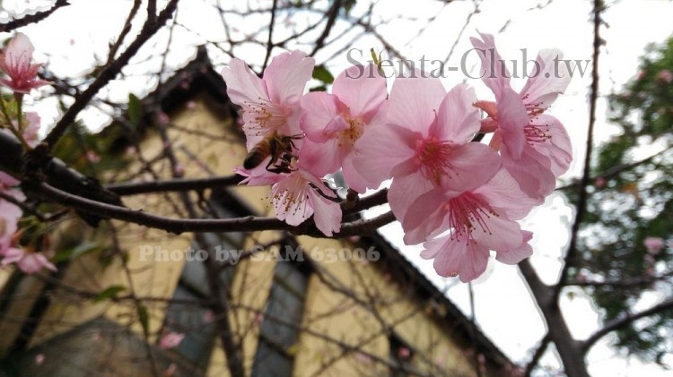20170303_123806_新竹_新竹公園.jpg