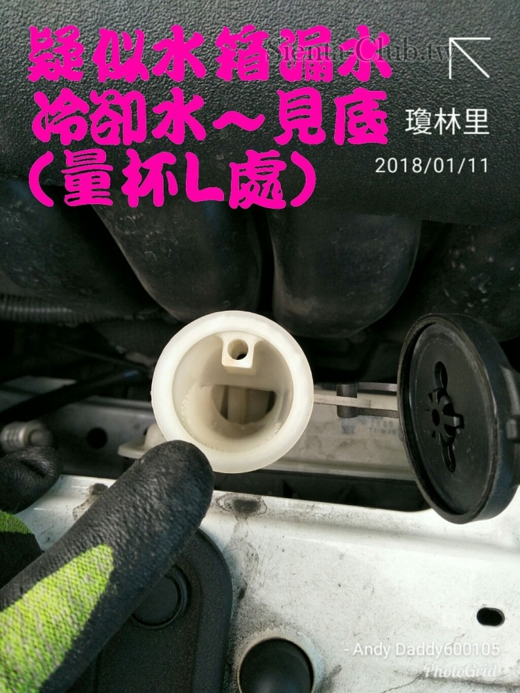 PhotoGrid_1515647095407.jpg