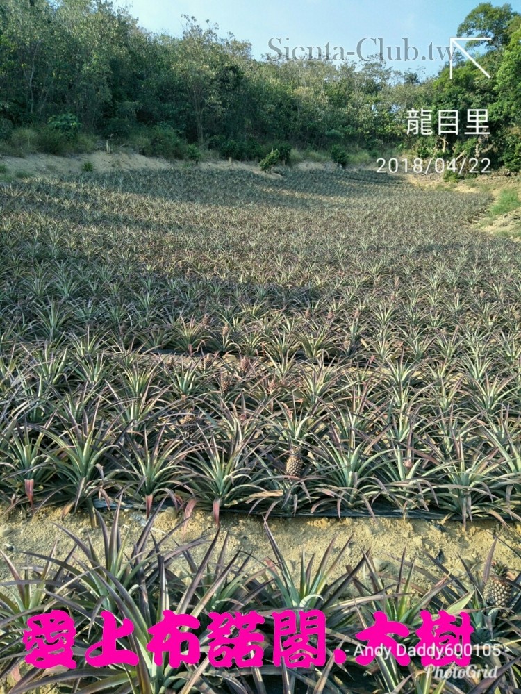 PhotoGrid_1524389169123.jpg