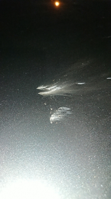 DSC_0858_1544184384054.jpg