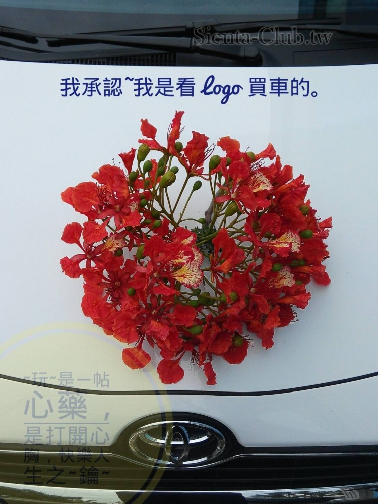LINE_P20170516_133335684.jpg