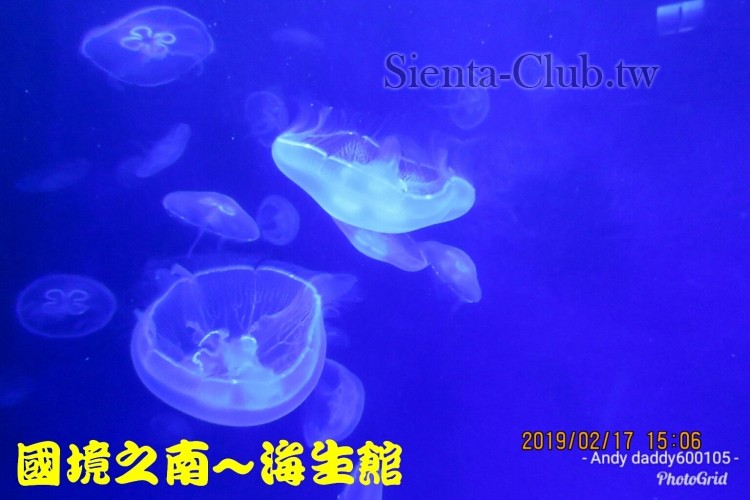 PhotoGrid_1550415169352.jpg