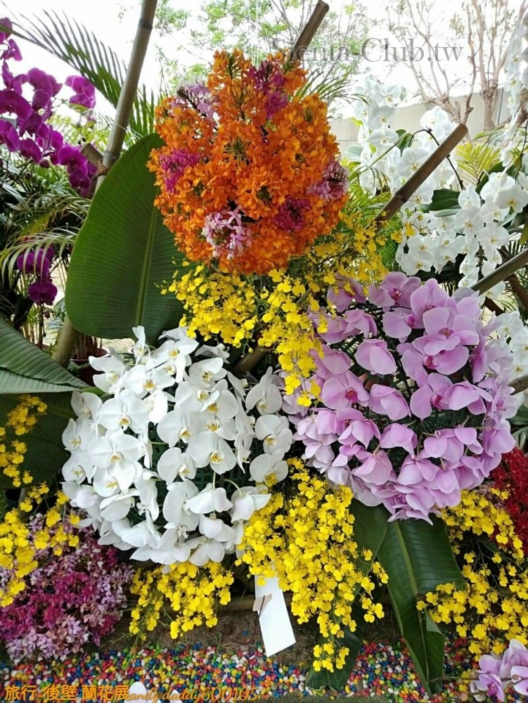 received_2348151041882407.jpg